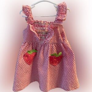 Blueberi Boulevard pink Gingham Dress with Strawberry Accents